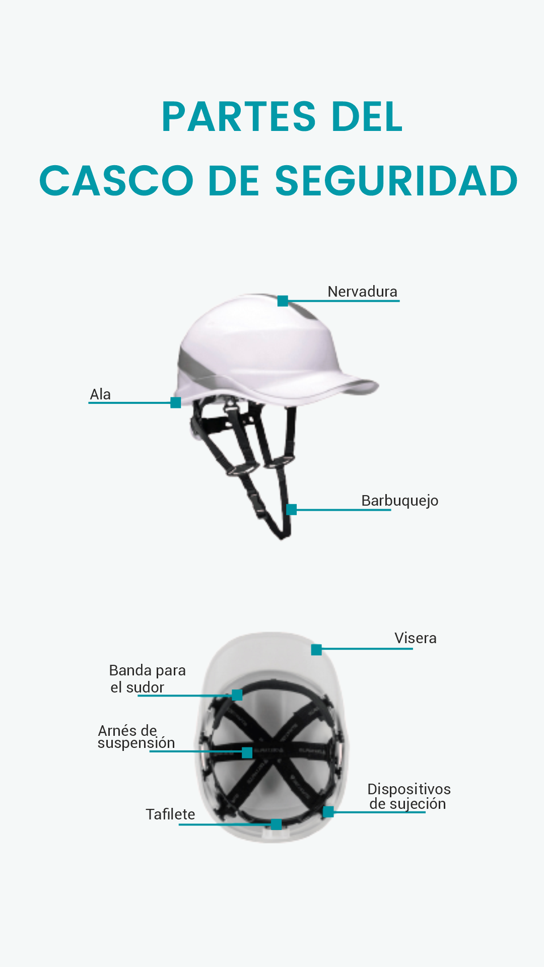 Partes del casco de seguridad